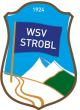 Footer Logo WSV